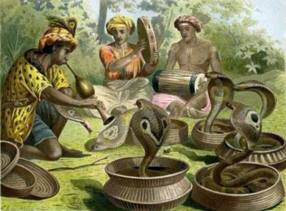 snake charmers5-5-2013 2-54-35 PM